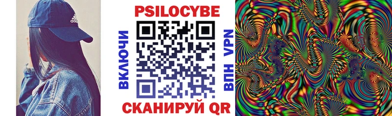 Купить  Тетюши  Псилоцибиновые грибы Cubensis 